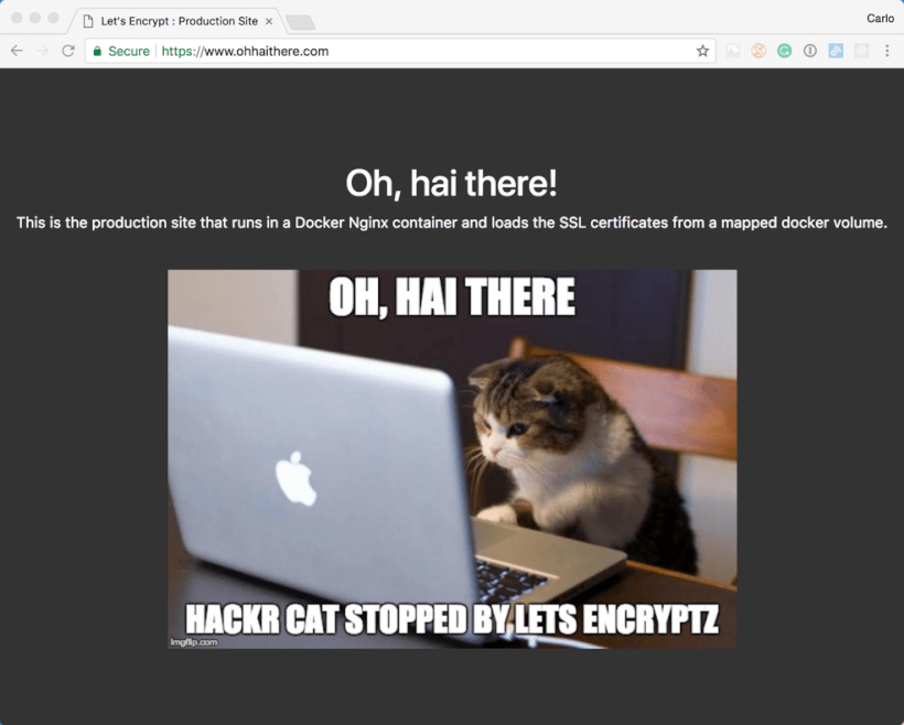 The Production Website Running in an Nginx Docker Container with a Let's Encrypt SSL Certificate